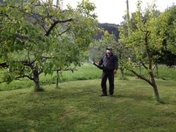 Ballestraz jardin traitement des arbrees fruitiers
